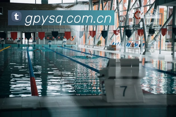 多媒体互动体验